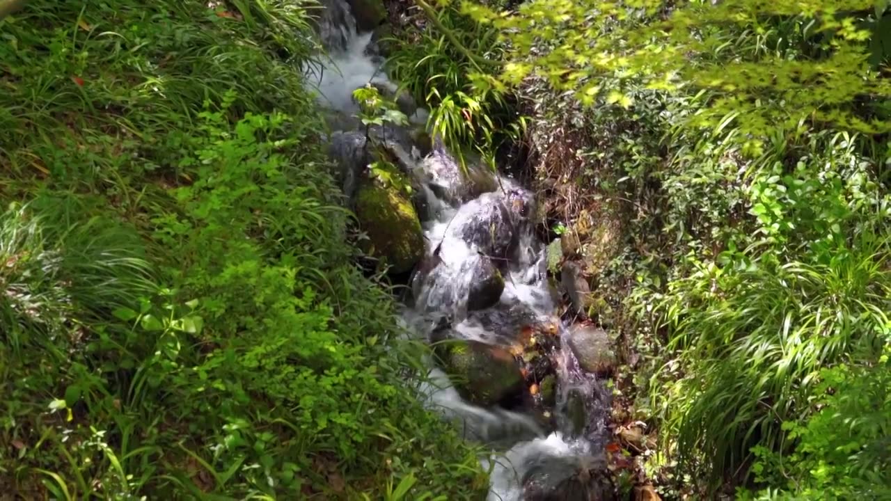 春天的山涧溪流水流自然风景视频素材