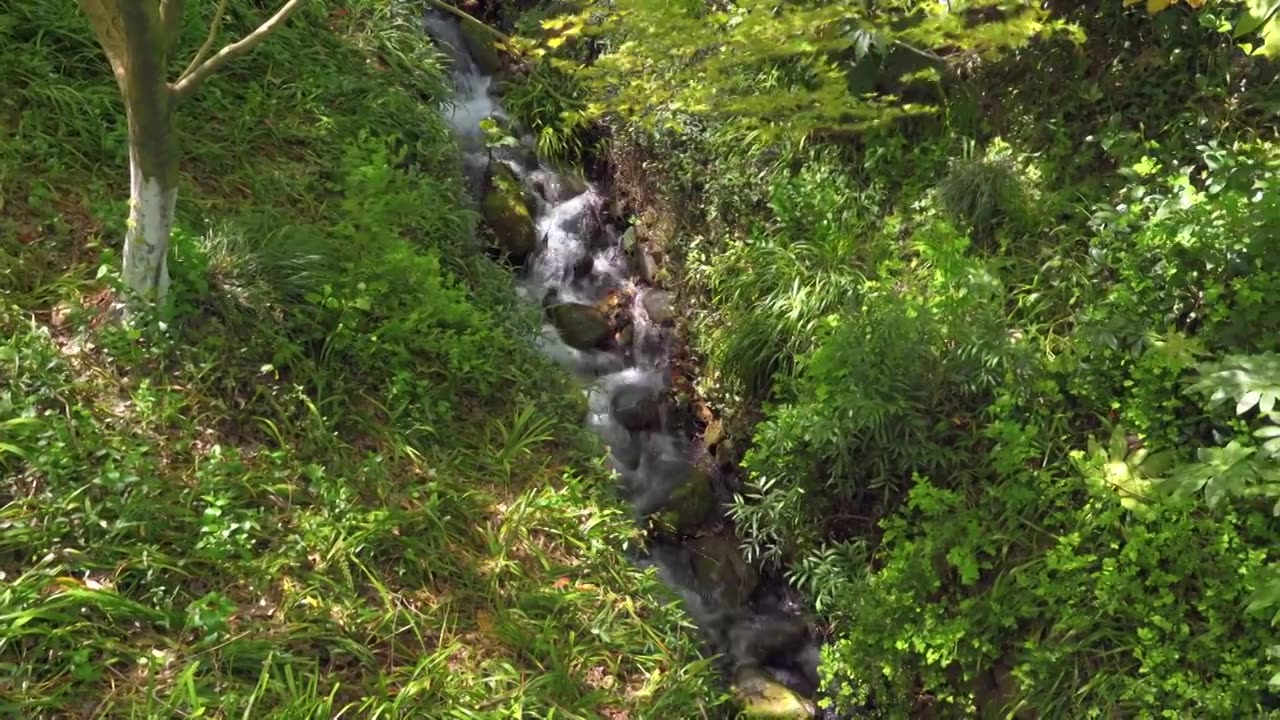 春天的山涧溪流水流自然风景视频素材