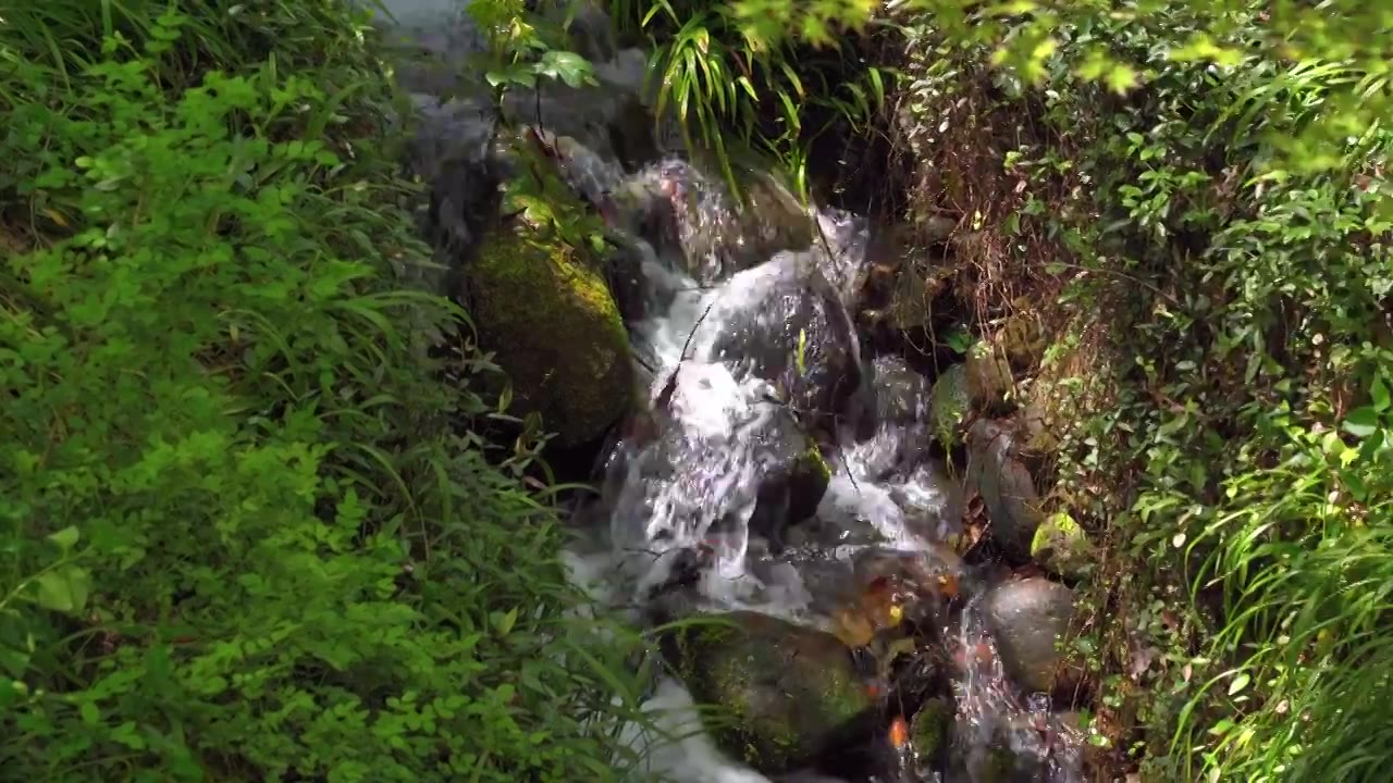 春天的山涧溪流水流自然风景视频素材