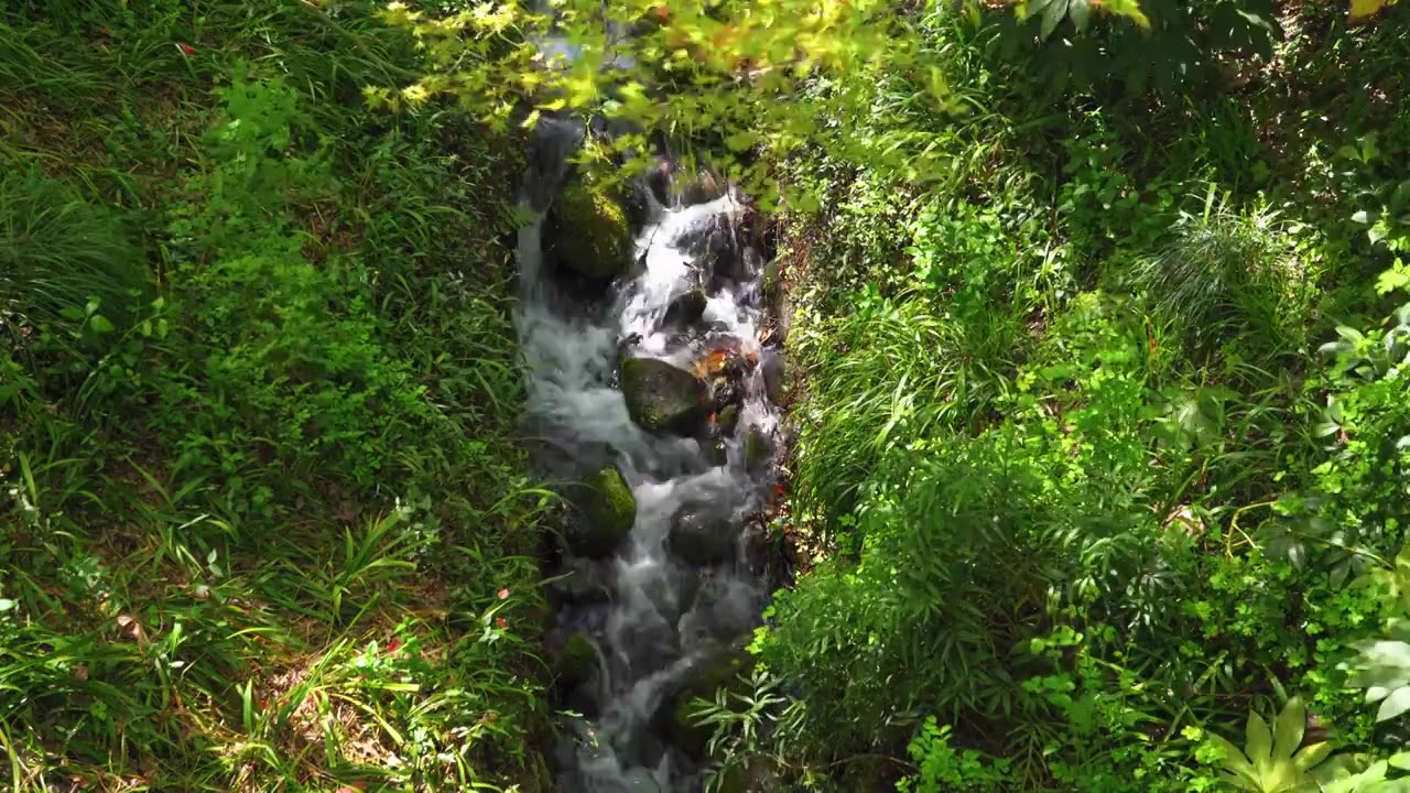 春天的山涧溪流水流自然风景视频素材