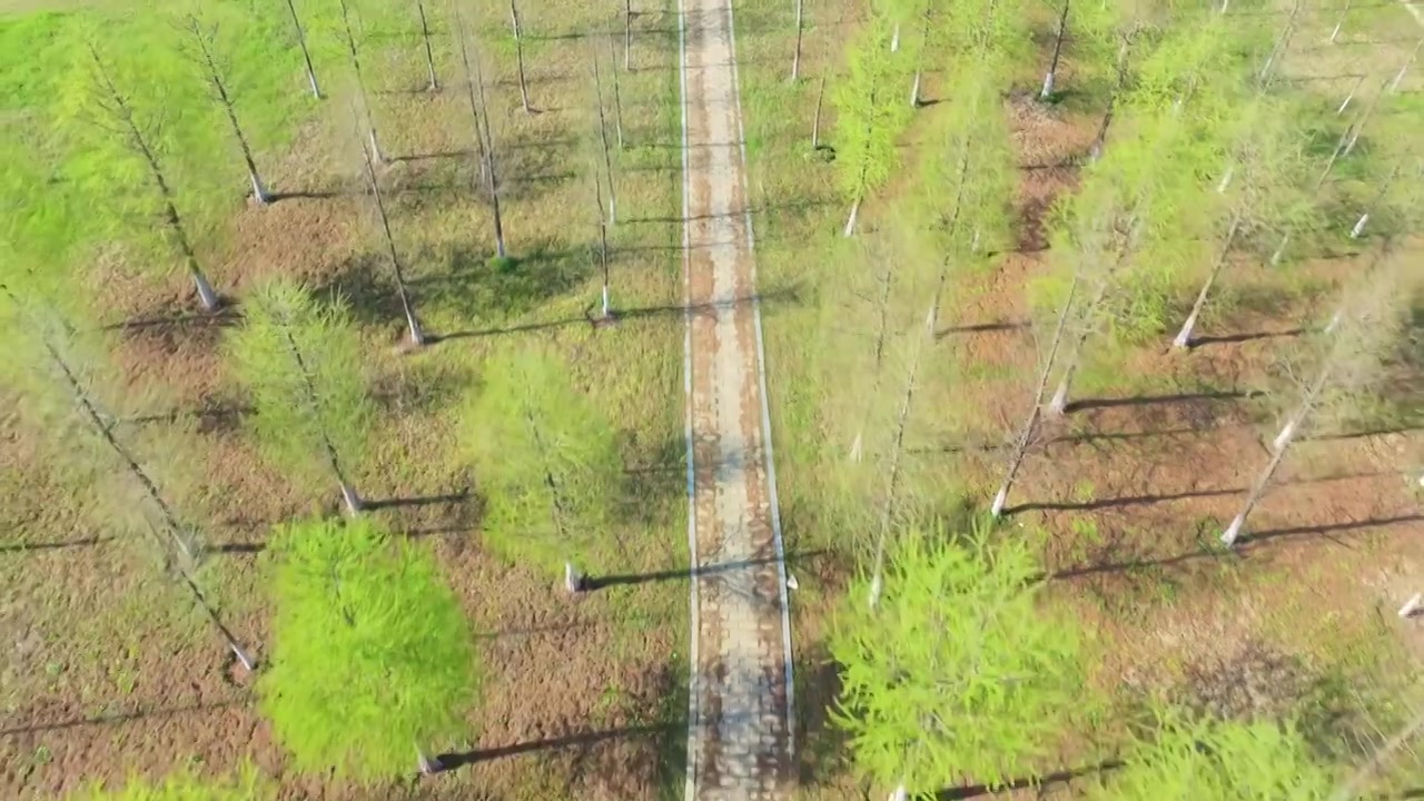 苏州工业园区中环东线与娄江快速路城市道路航拍视频素材