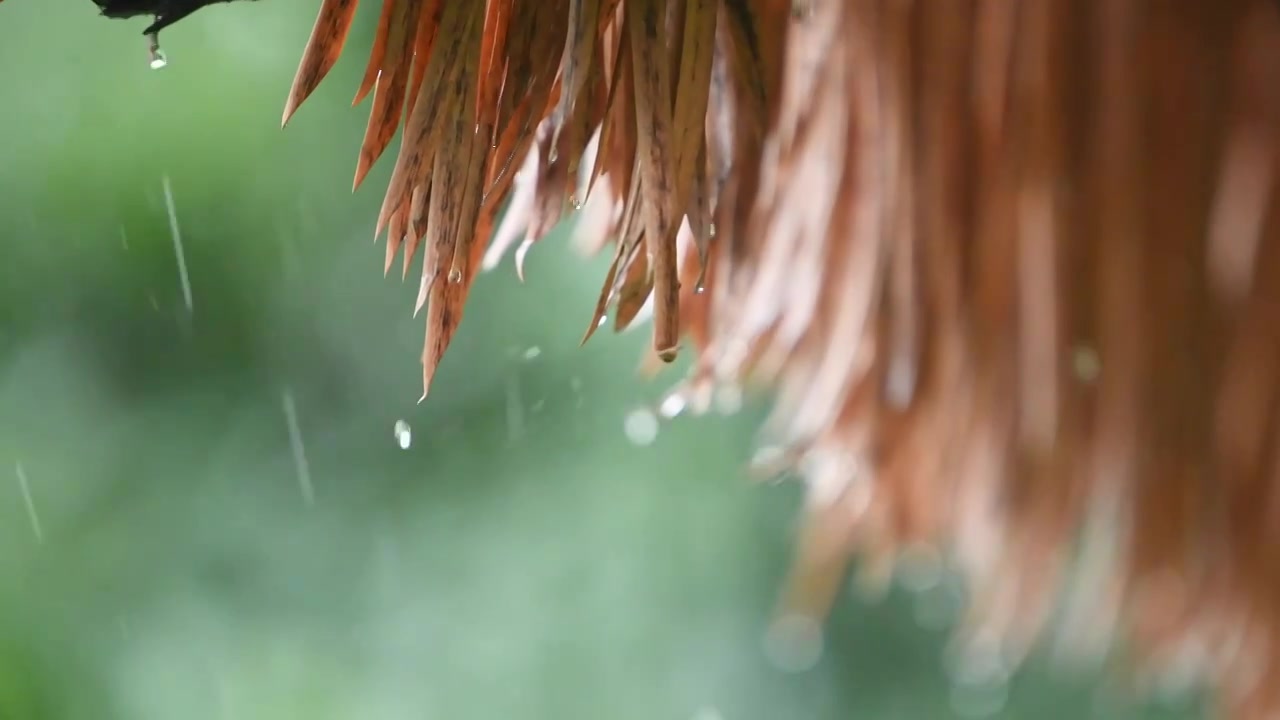 雨从屋檐落下视频素材