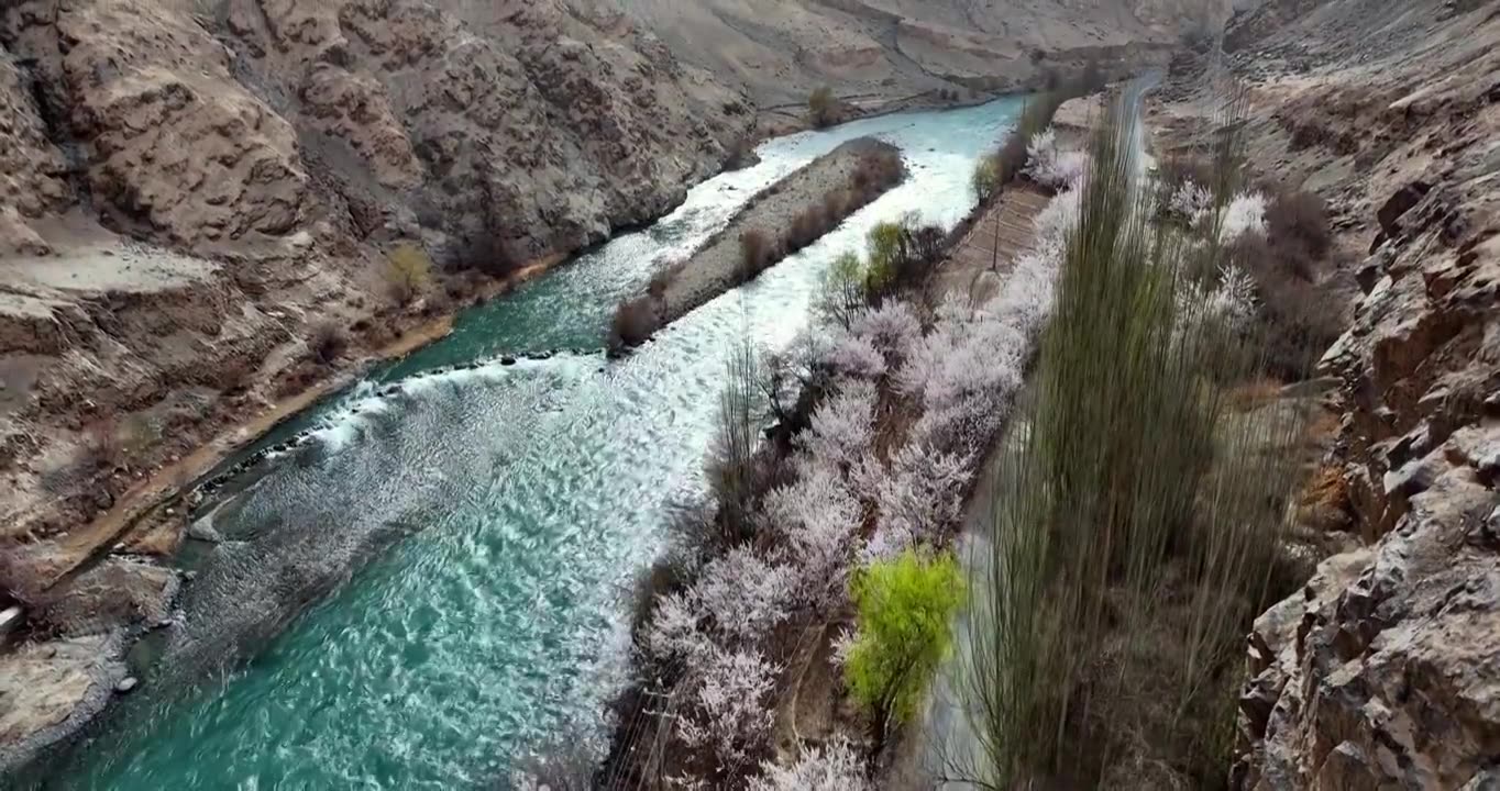 碧绿的河流穿过新疆杏花村 公路边鲜花盛开 南疆旅行视频素材