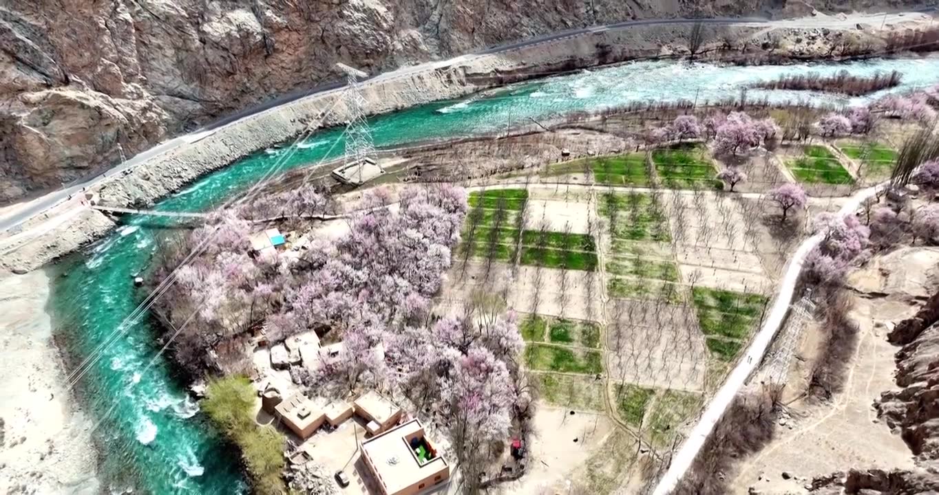 碧绿的河流穿过新疆杏花村 公路边鲜花盛开 南疆旅行视频素材