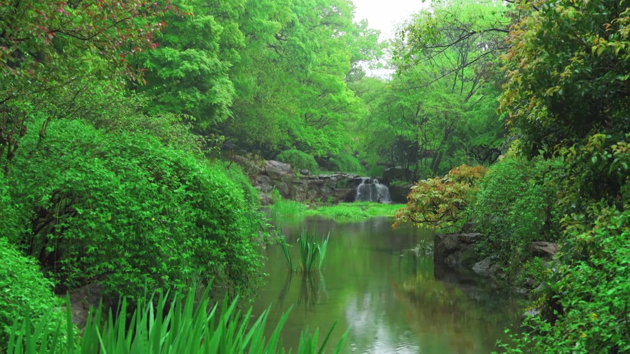 江南杭州西湖浴鹄湾春天阴雨天春雨中的山涧溪流自然治愈风景视频素材