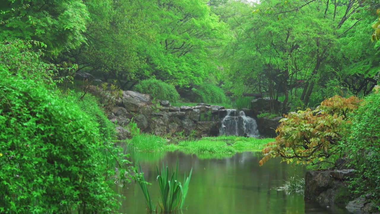 江南杭州西湖浴鹄湾春天阴雨天春雨中的山涧溪流自然治愈风景视频素材