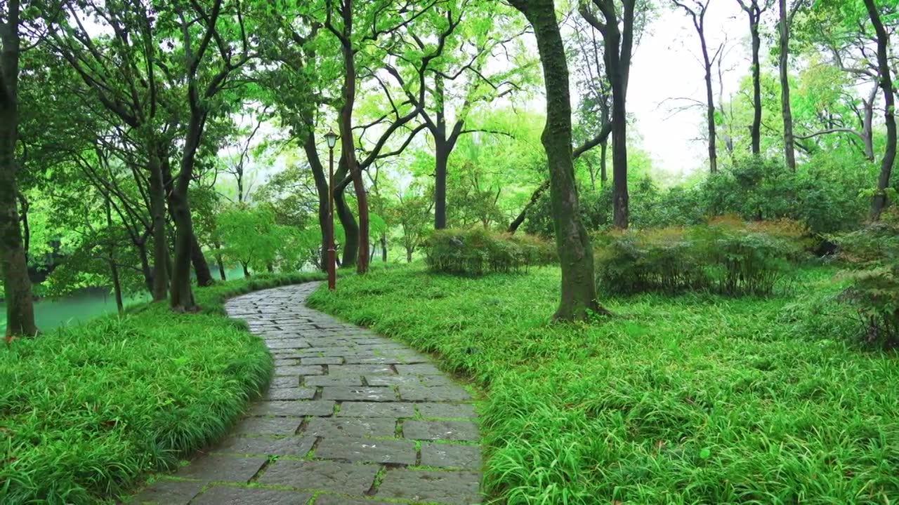 江南杭州西湖浴鹄湾春天阴雨天春雨中的石板小路自然治愈风景视频素材