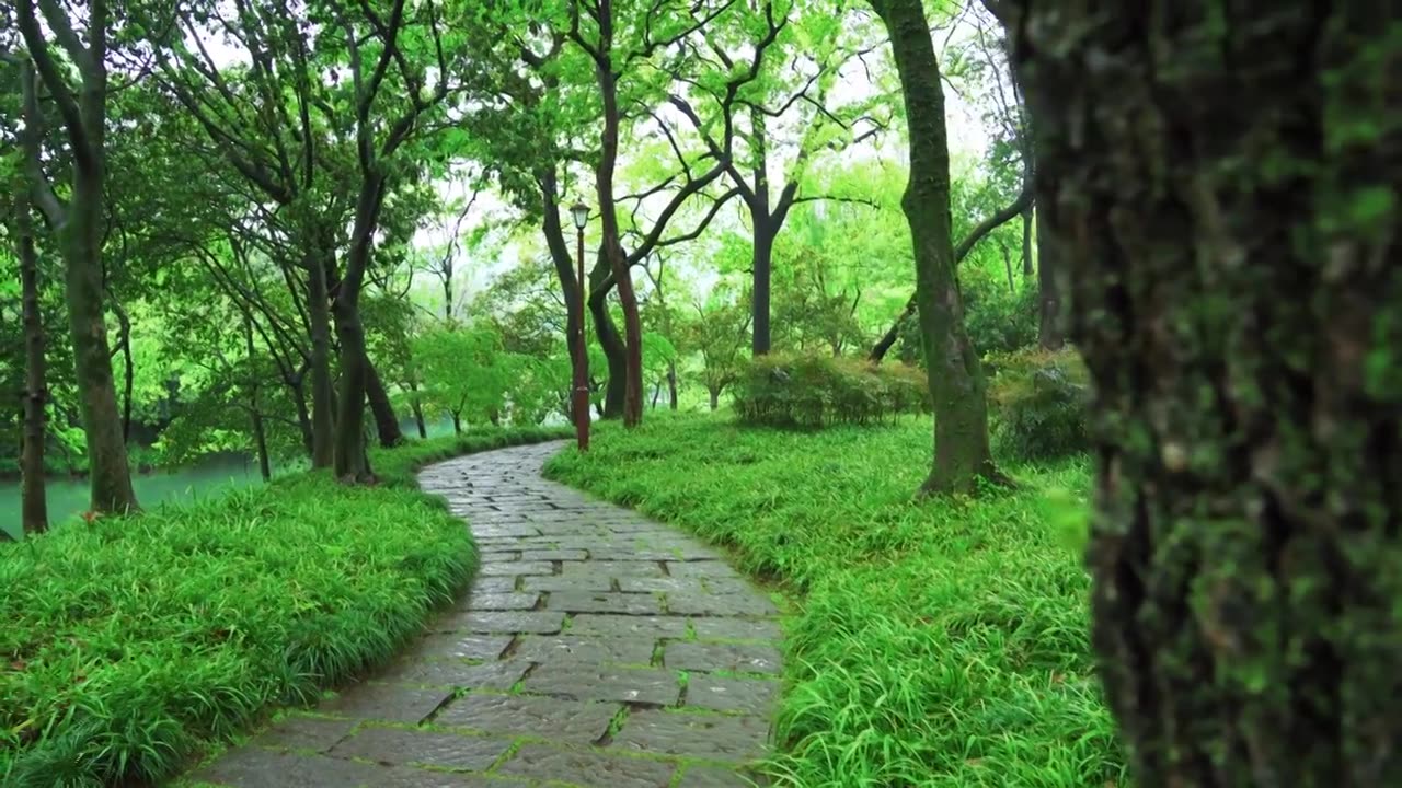 江南杭州西湖浴鹄湾春天阴雨天春雨中的石板小路自然治愈风景视频素材