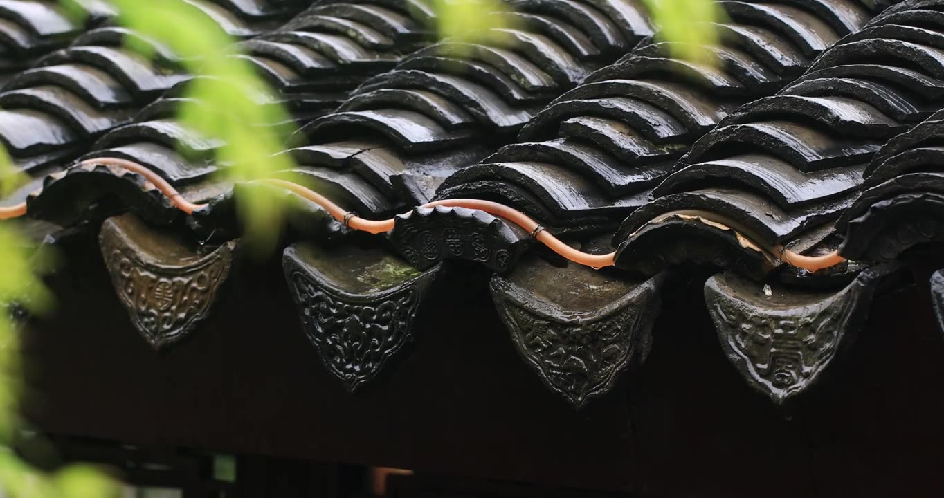 苏州园林春雨屋檐屋面唯美植物特写视频素材