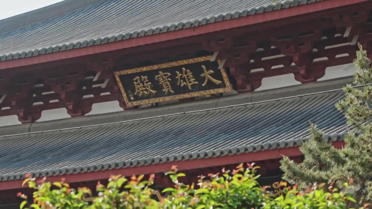 大雄宝殿寺庙上海嘉定南翔云翔寺中式建筑视频素材