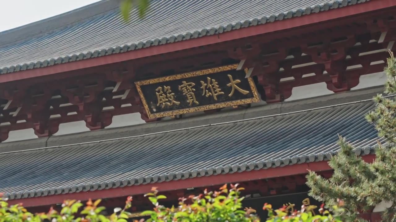 大雄宝殿寺庙上海嘉定南翔云翔寺中式建筑视频素材