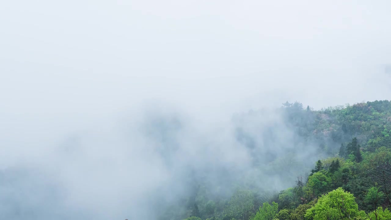 安徽黄山歙县坡山云瀑山顶云海延时风光视频素材