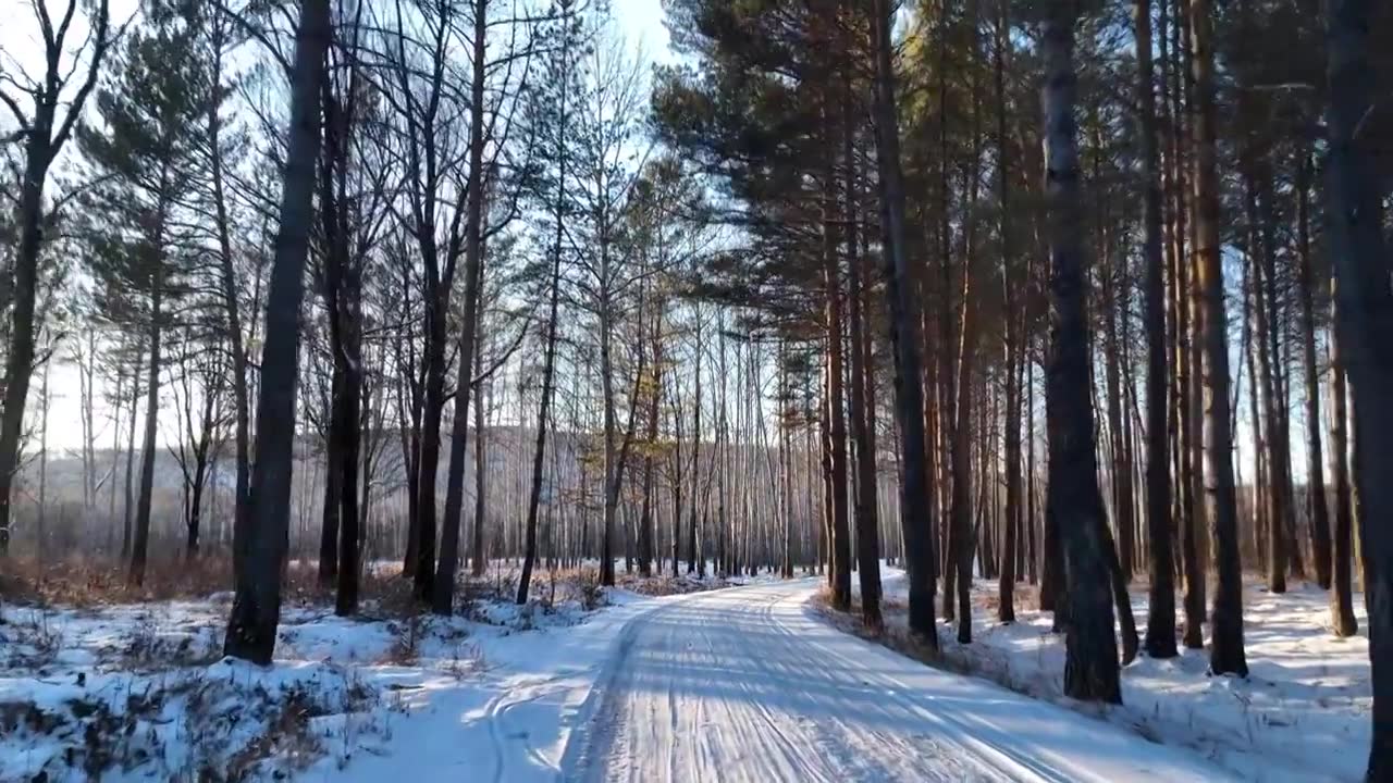 通向林海雪原的雪路视频下载