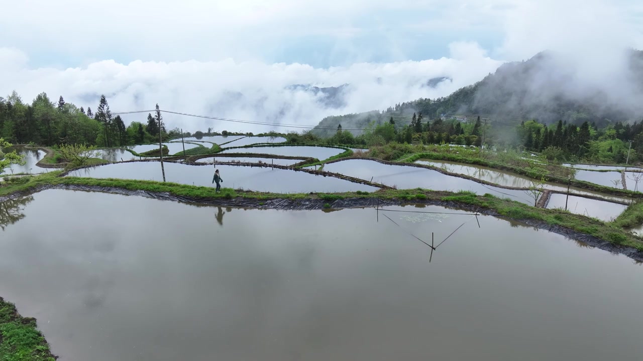 航拍山区梯田云雾环绕视频素材