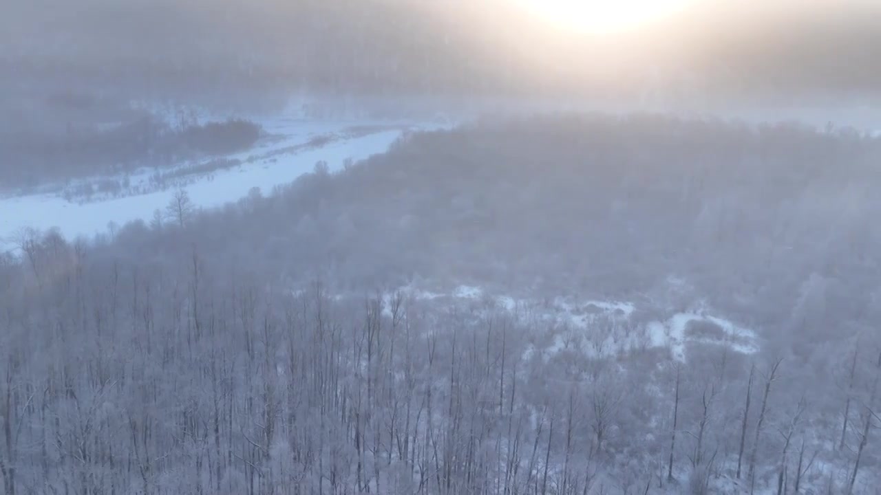 曙光照耀冻雾迷漫的林海雪原视频素材