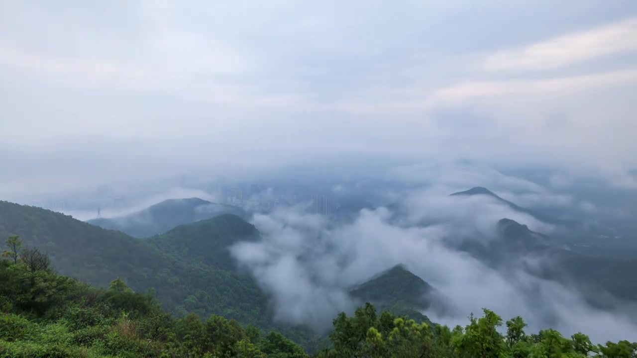 深圳梧桐山云海视频下载