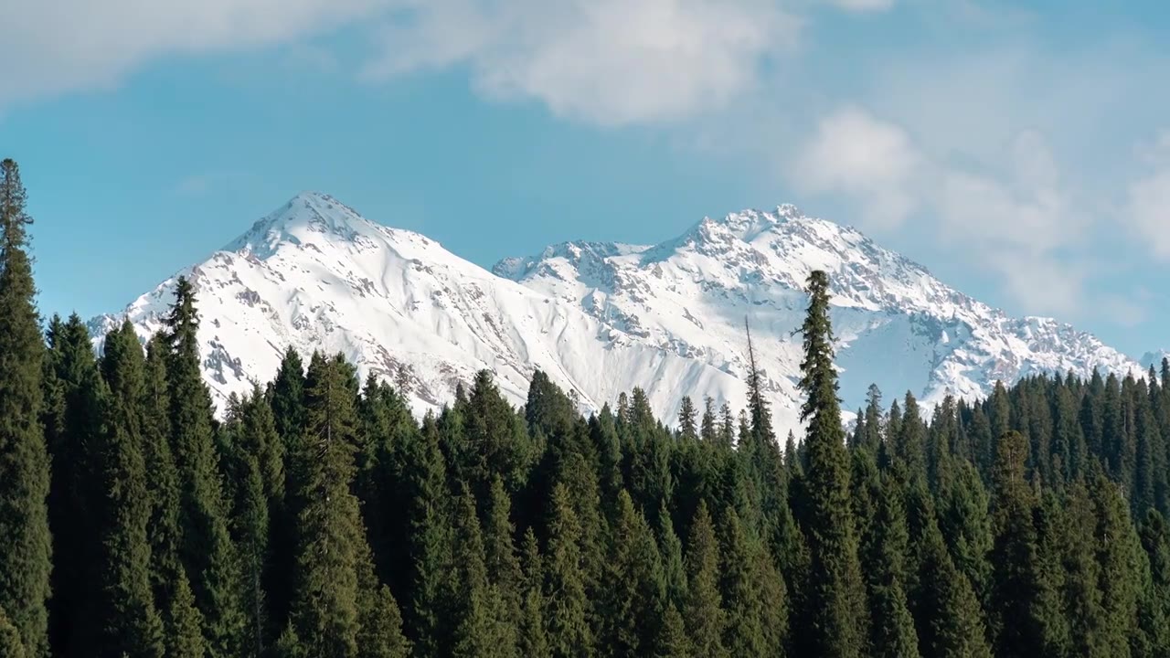 新疆伊犁库尔德宁的雪山森林延时视频素材