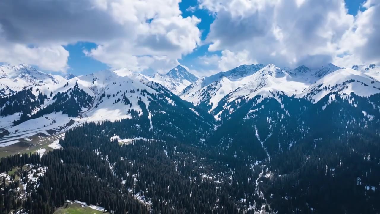 新疆伊犁库尔德宁的雪山森林延时视频素材