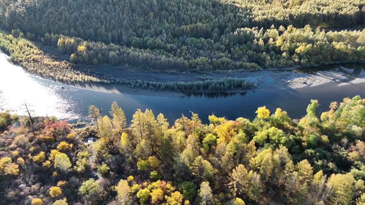 航拍大兴安岭金秋山林河湾视频素材