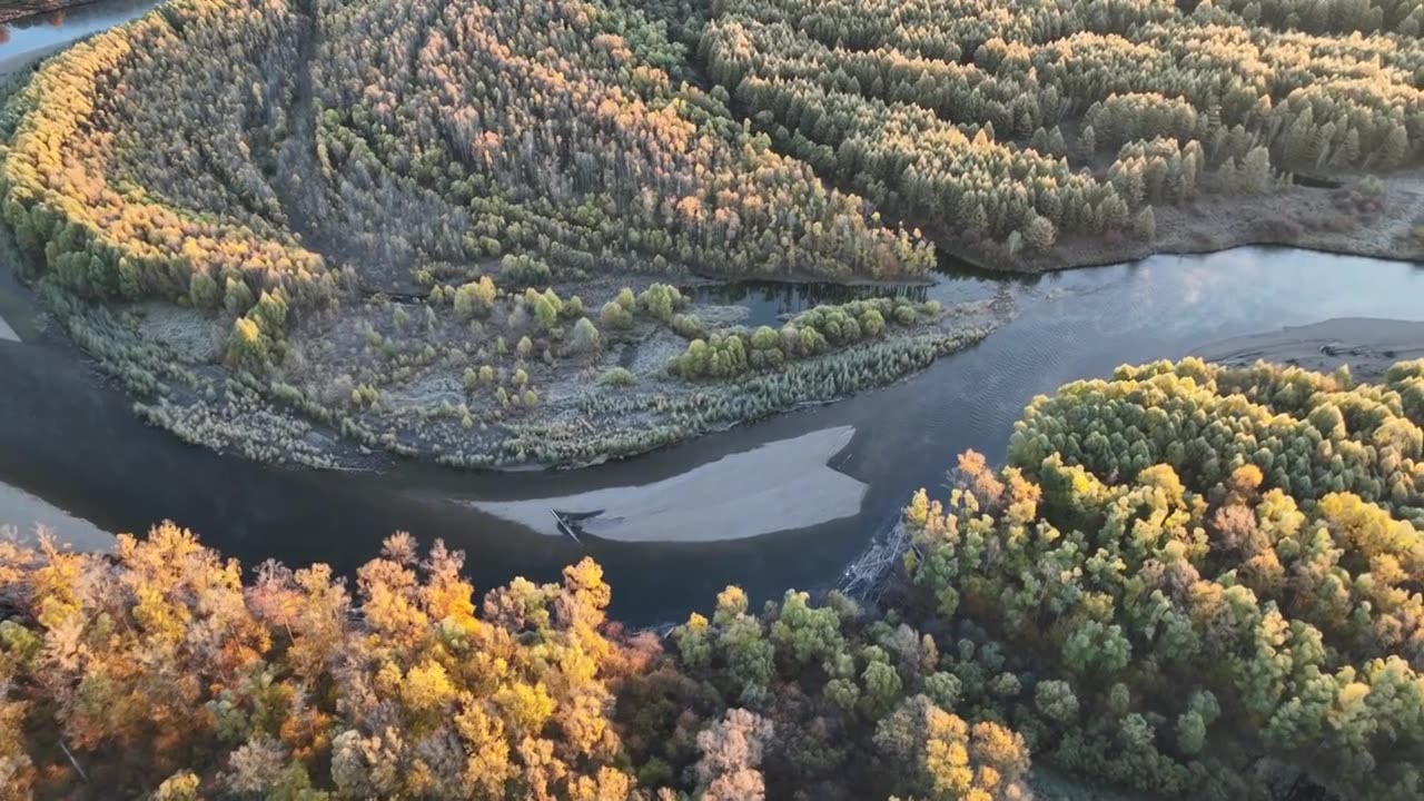 航拍大兴安岭金秋山林河湾视频素材