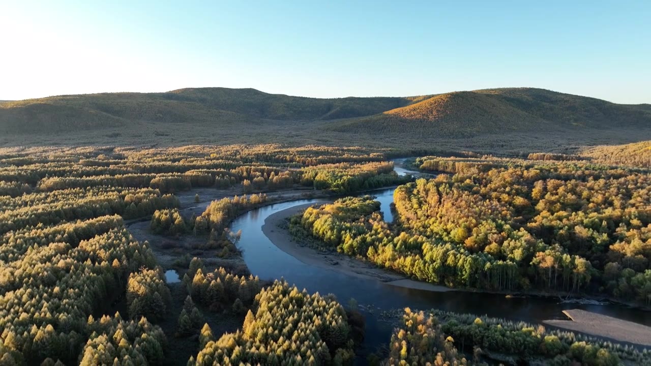 航拍大兴安岭金秋山林河湾视频素材