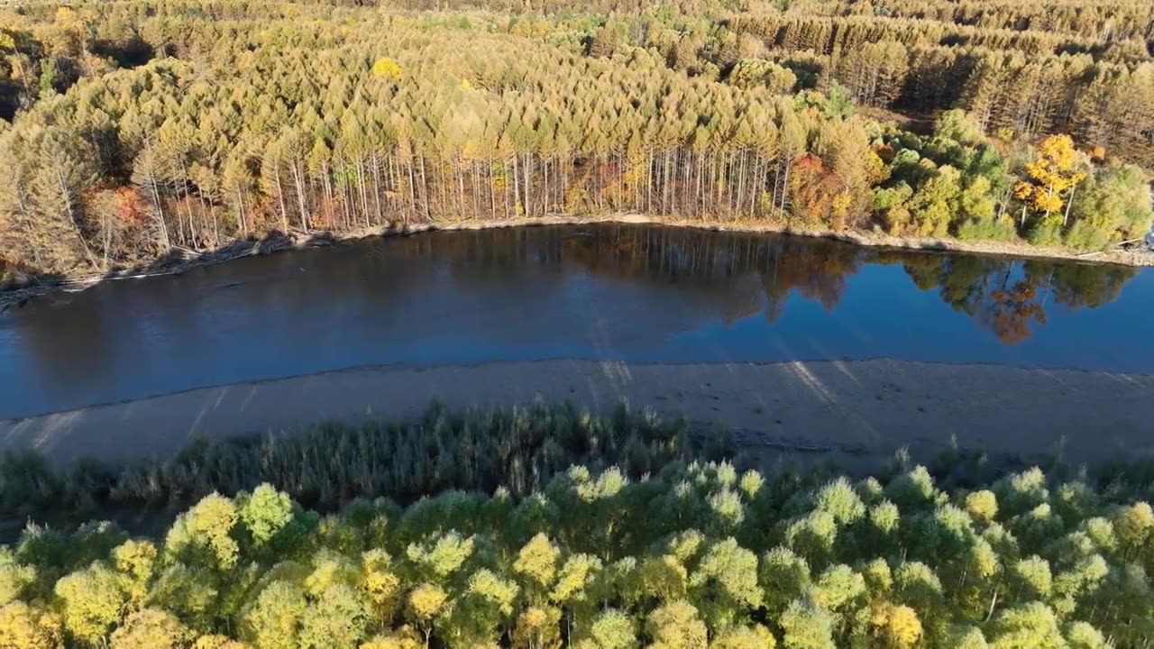 航拍大兴安岭金秋山林河湾视频素材