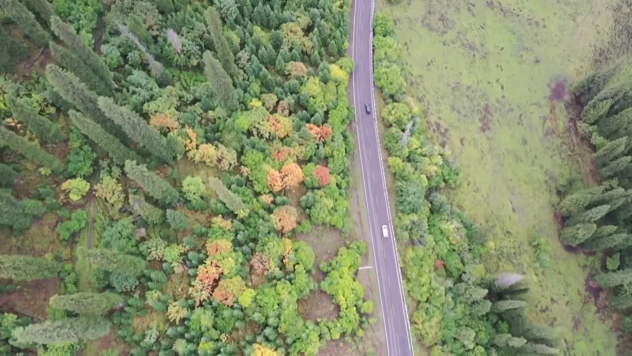 秋天的独库公路视频下载