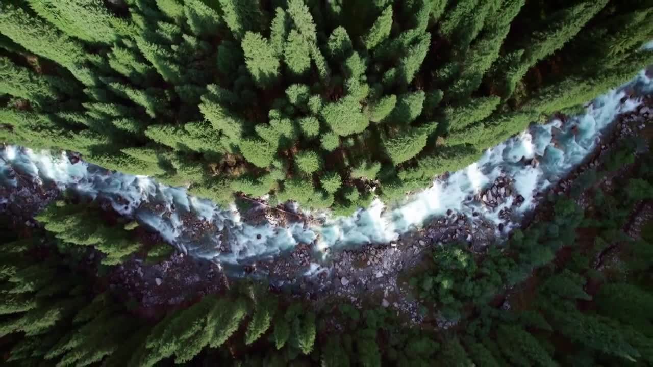 森林雪山溪流大自然视频素材