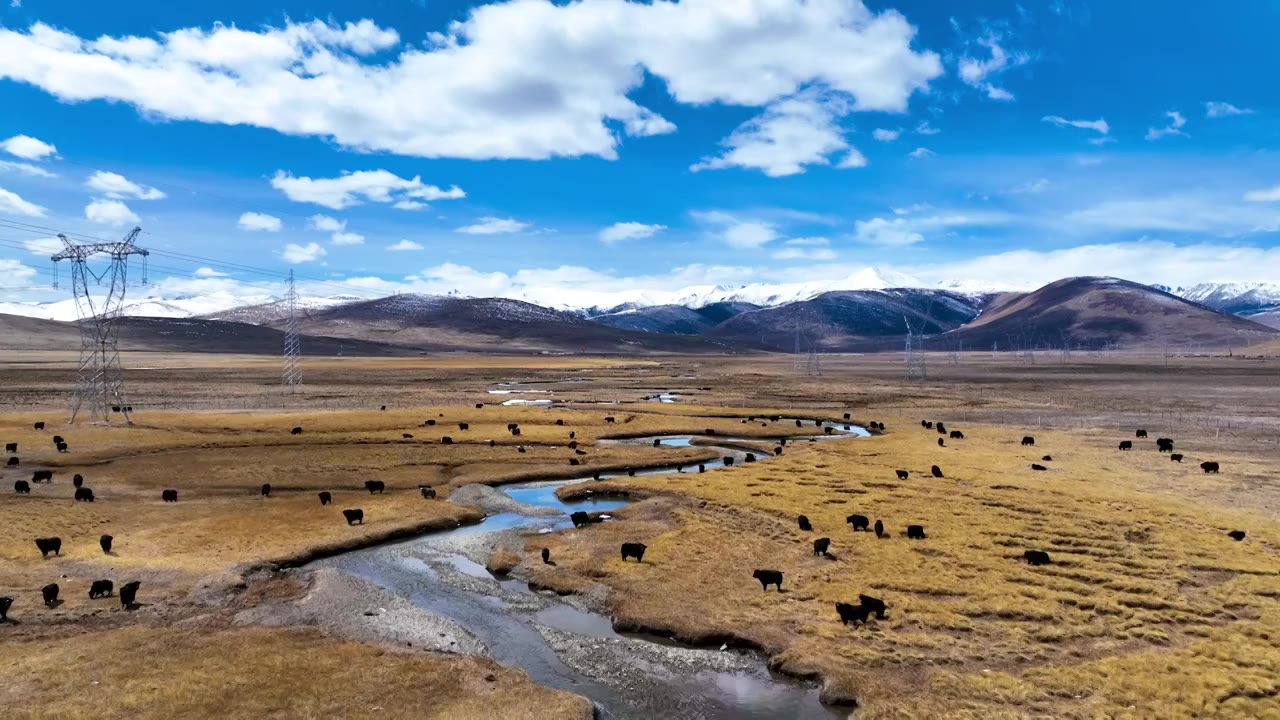 冬季高山牧场视频素材