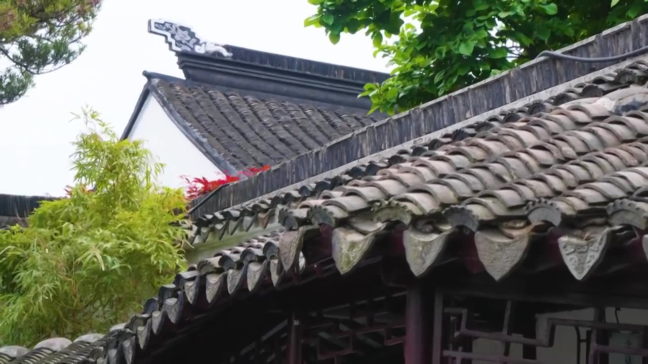 著名苏州园林网师园春天风景视频素材