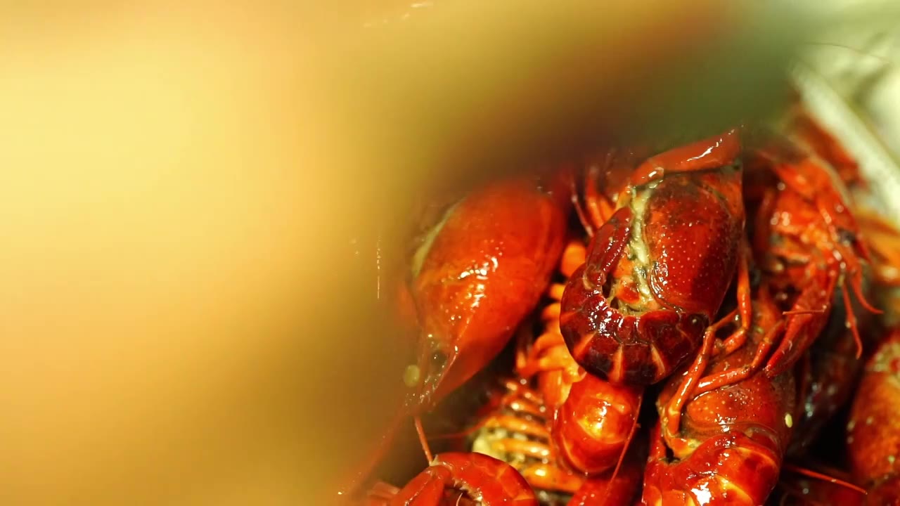 烹饪美味小龙虾夜宵、配菜葱花黄瓜土豆等提鲜视频下载