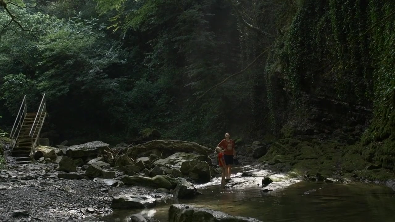 游客们看着岩石和丛林。有创造力。母亲和孩子在丛林中徒步旅行视频素材