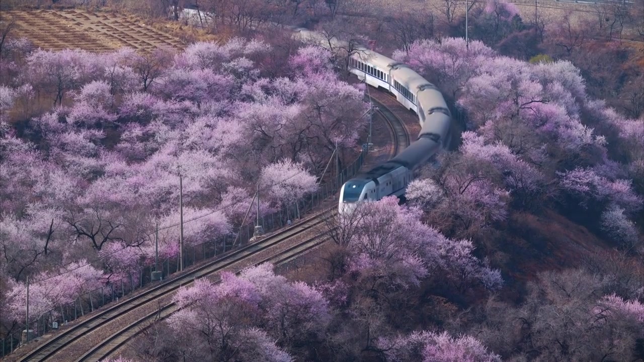 居庸关长城花海列车视频下载