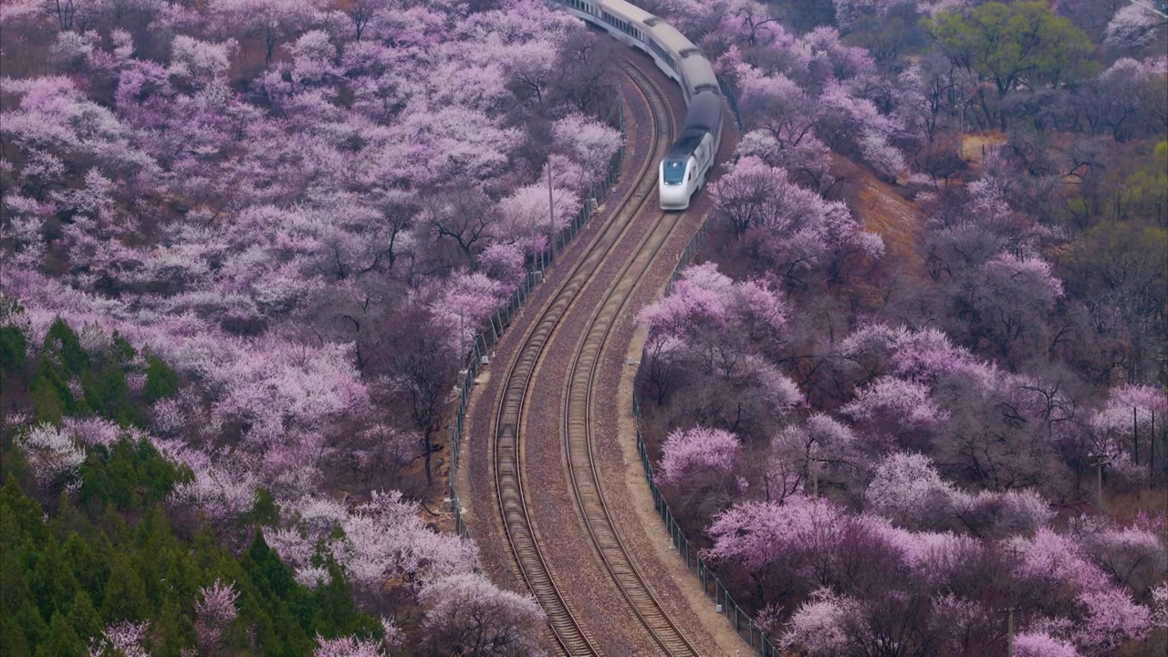 居庸关长城花海列车视频素材