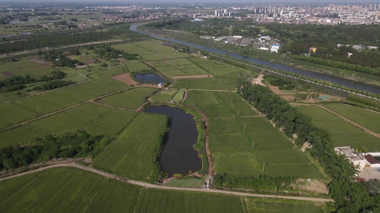 安徽省天长市红草湖湿地公园视频素材