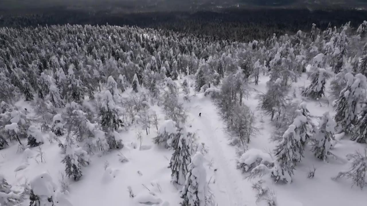 冬日里被雪覆盖的避暑山庄。夹。山林和视频素材