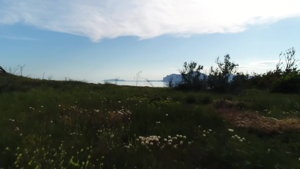 美丽的海岸景色，以岩石和大海为背景的草地。射杀。无人机视频素材