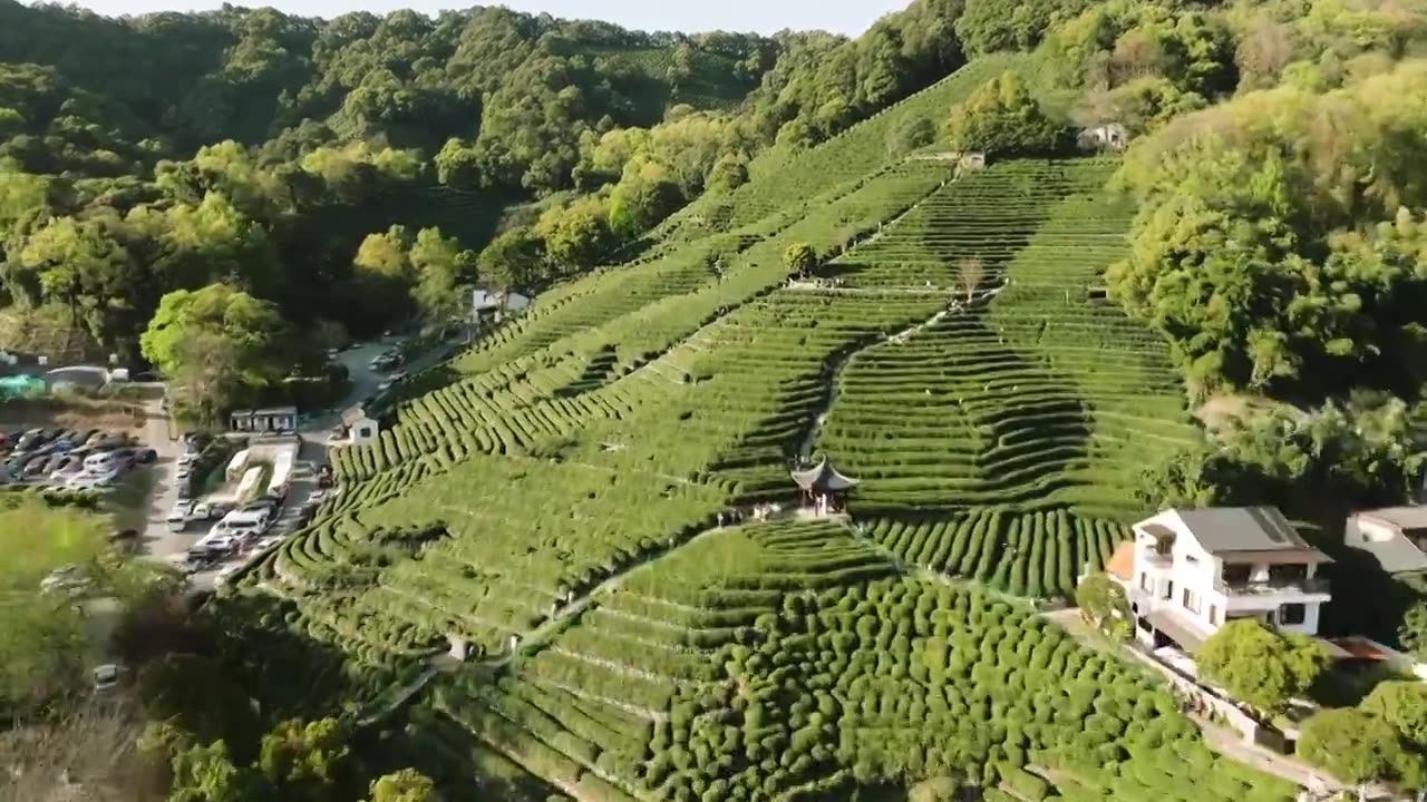 杭州西湖龙井茶园航拍视频素材