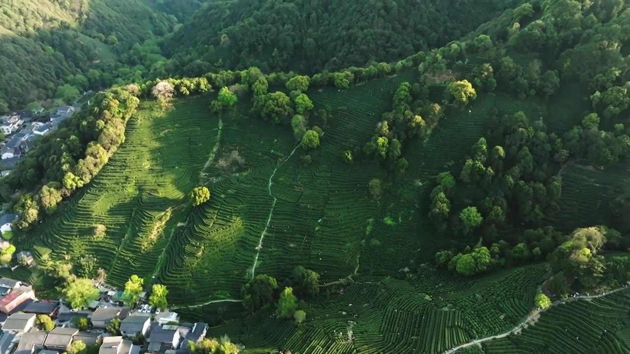 杭州西湖龙井茶园航拍视频下载