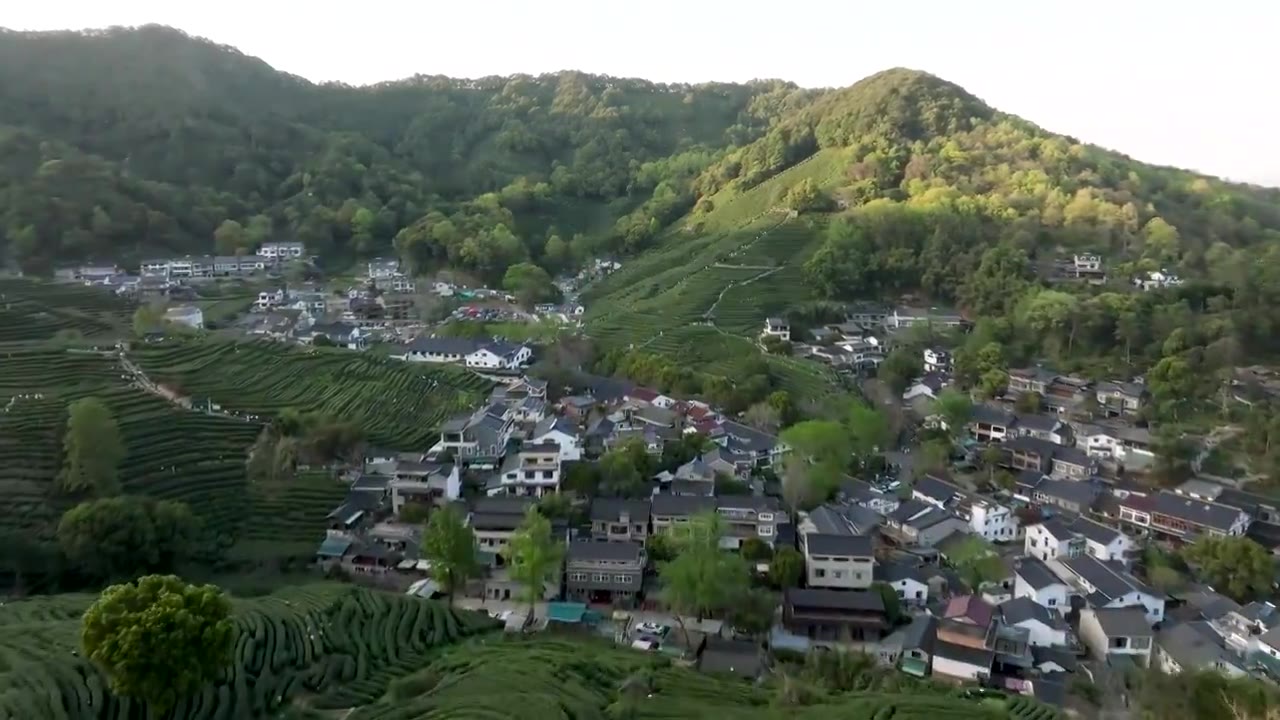 杭州西湖龙井茶园航拍视频素材