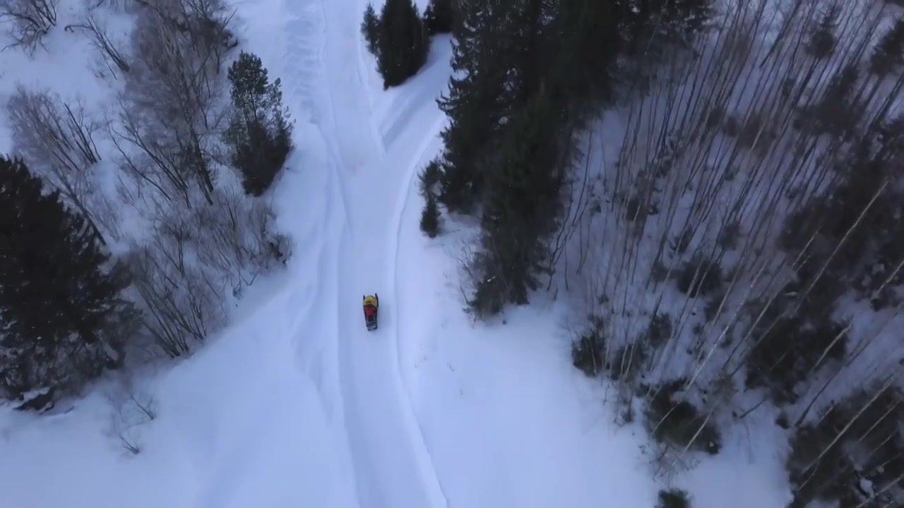 从直升机上看。夹。一个雪白的森林在雪堆上视频素材