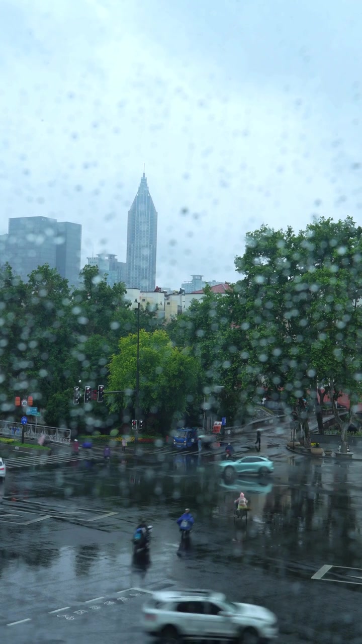 雨中街景视频下载