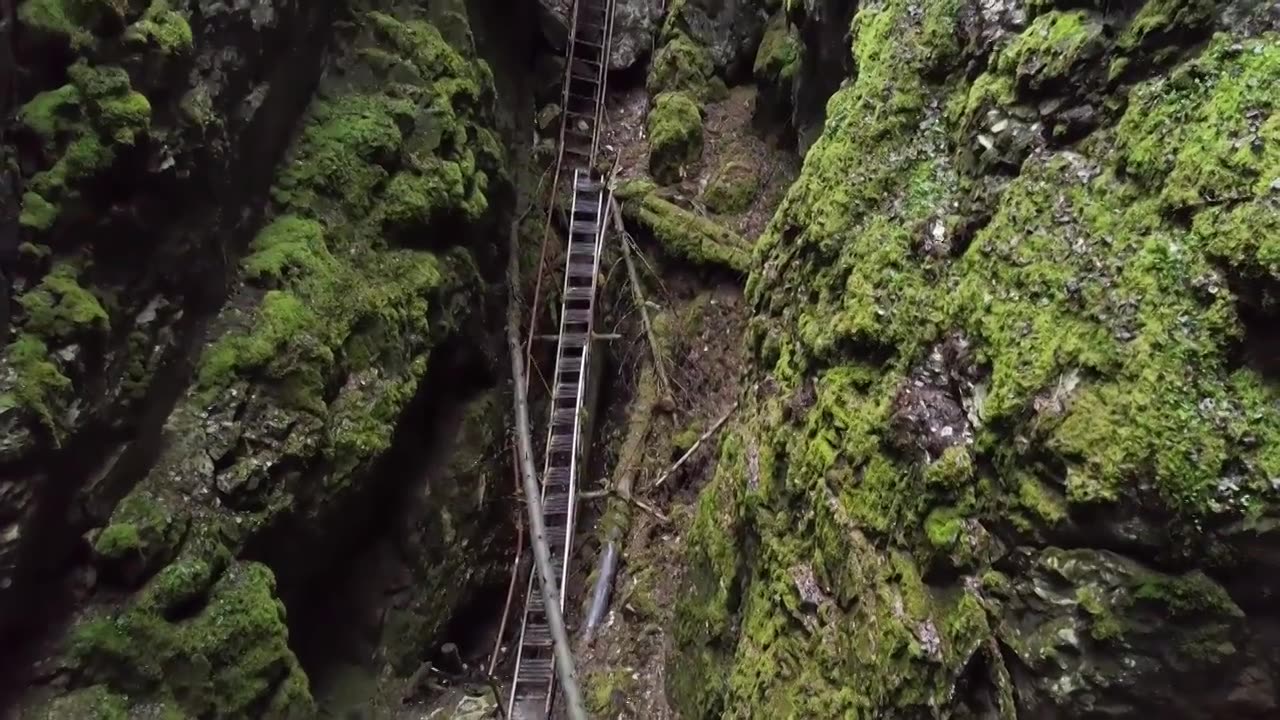 夏天，穿过绿色森林深处峡谷的危险小道。股票视频素材