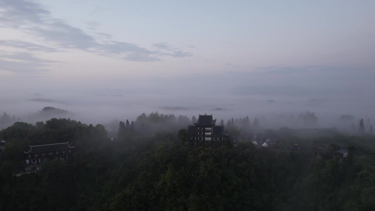 航拍云雾缭绕的贵州贵阳云山茶海视频素材