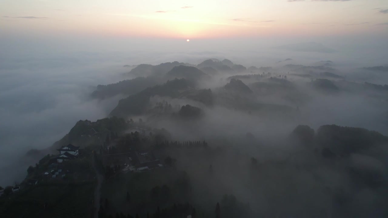 航拍云雾缭绕的贵州贵阳云山茶海视频素材