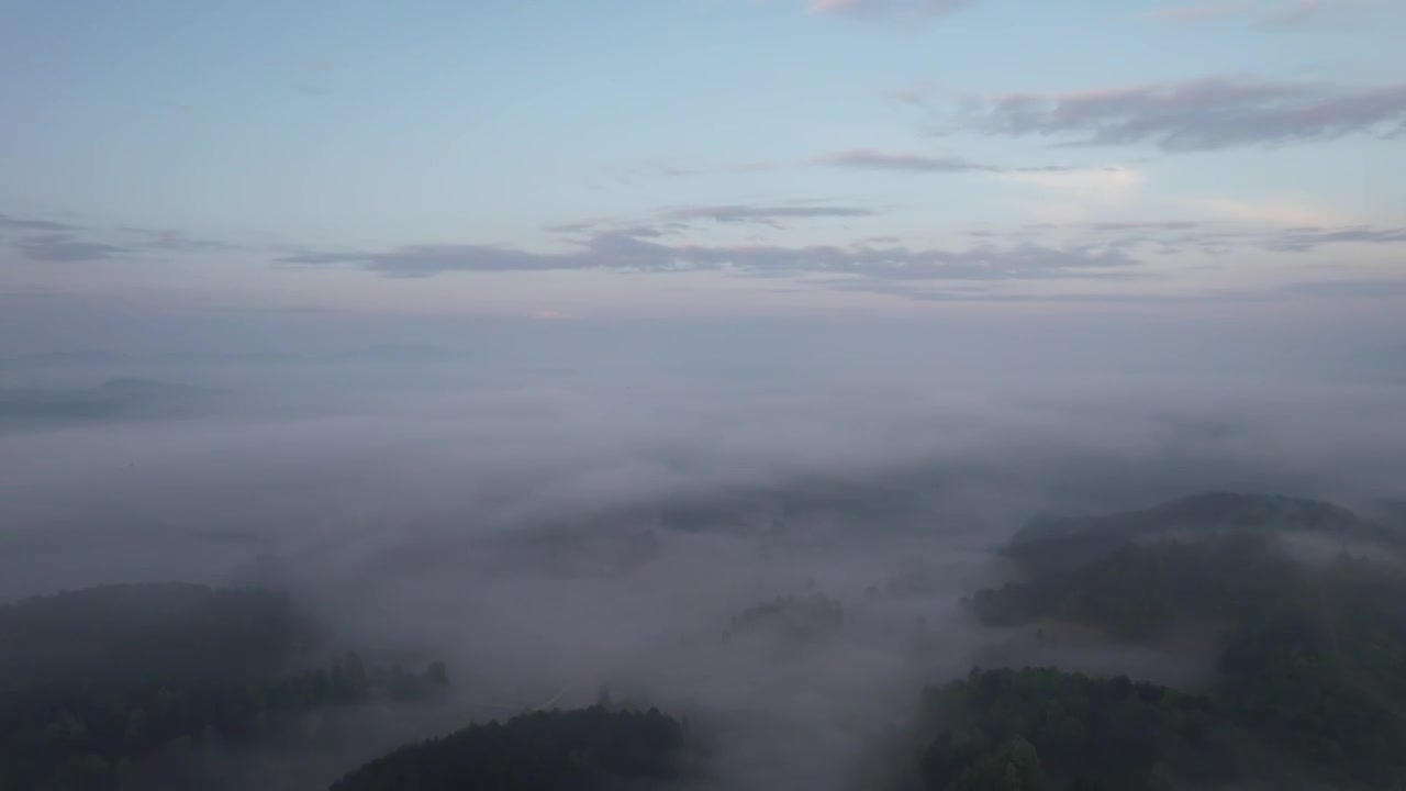 航拍云雾缭绕的贵州贵阳云山茶海视频素材