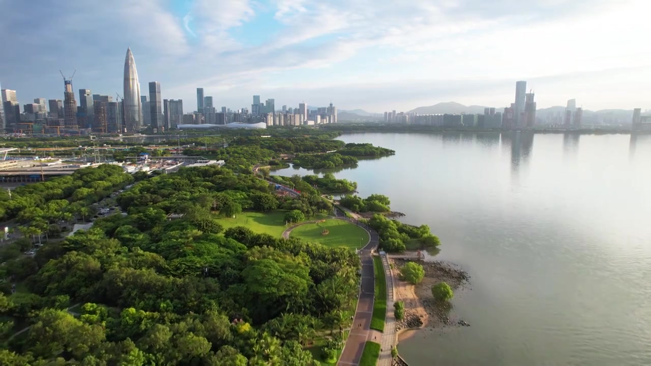 深圳市南山区深圳湾公园航拍风光视频素材