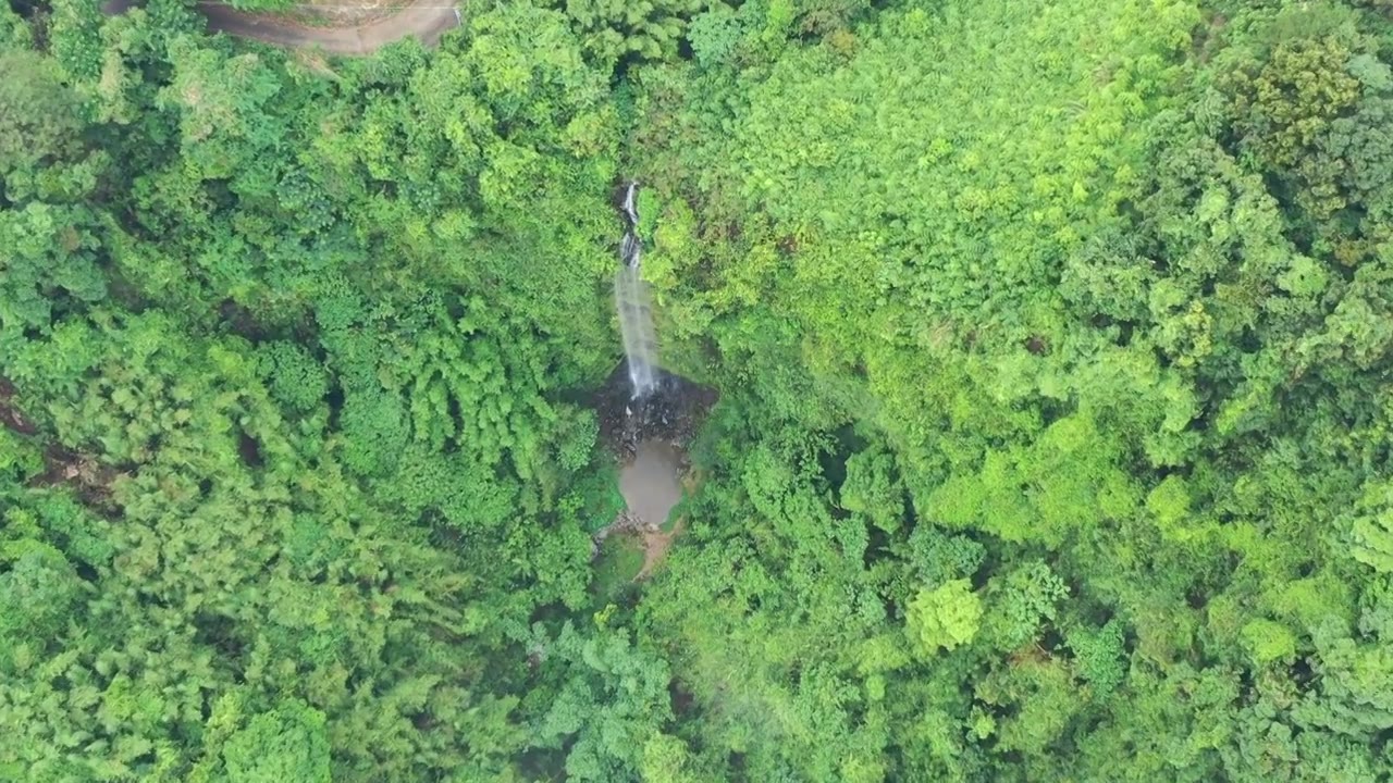 山林里的瀑布视频素材