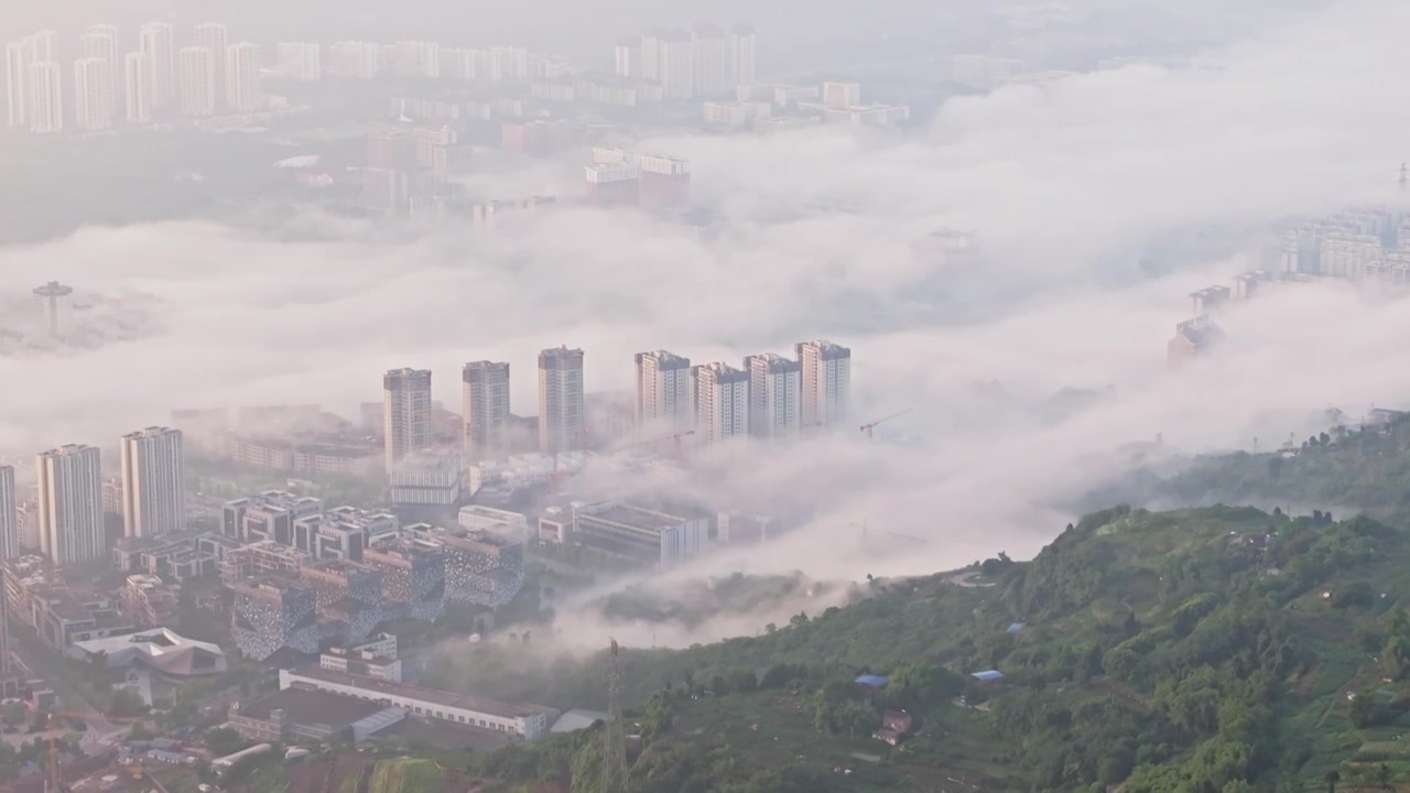 航拍重庆鱼洞清晨日出平流雾风光视频素材