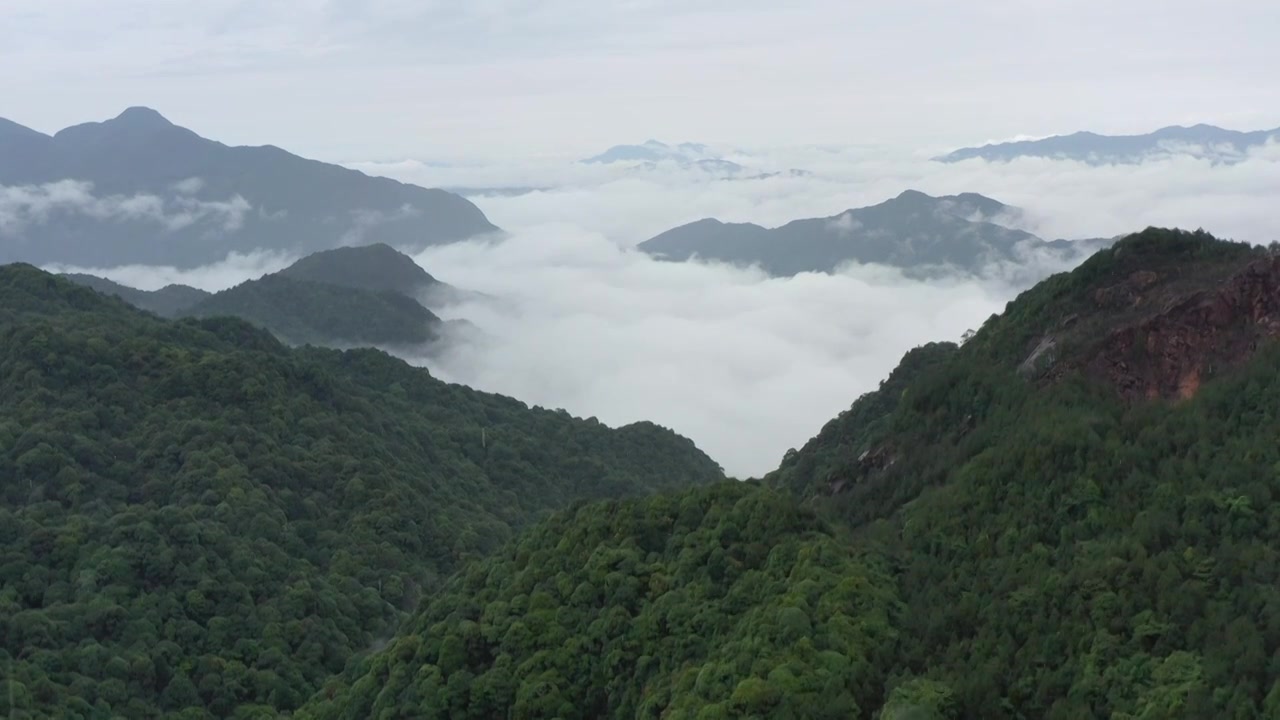 高山云海视频下载